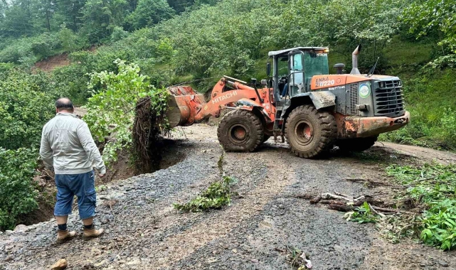 Ordu'da 70 mahallede selin bıraktığı tahribatın izleri siliniyor