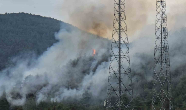 Orman yangınını söndürme çalışmaları karadan sürüyor