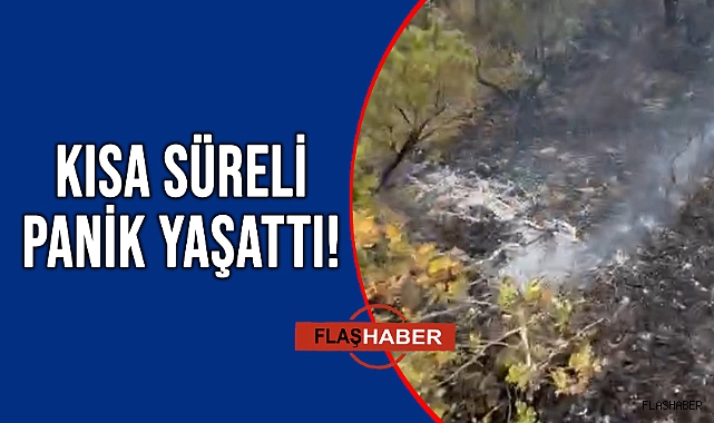 ORMANLIK ALANA YILDIRIM DÜŞTÜ!