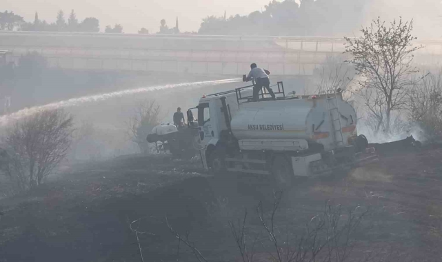 Ormanlık alanda çıkan yangın seralara sıçradı