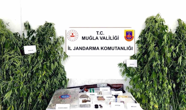 Ortaca'da kenevir operasyonu