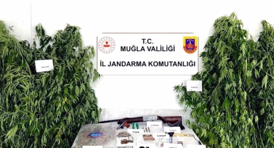 Ortaca'da kenevir operasyonu