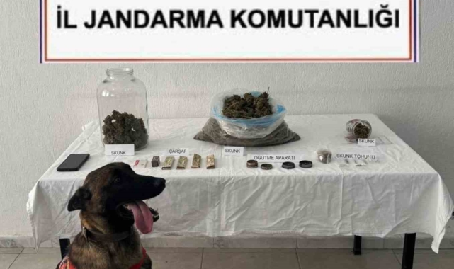 Ortaca'da uyuşturucu operasyonu: 1 tutuklama