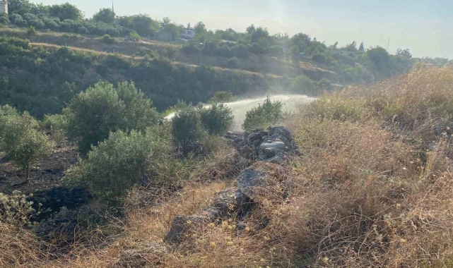 Osmaniye'de çıkan anız yangını zeytin bahçesine sıçradı