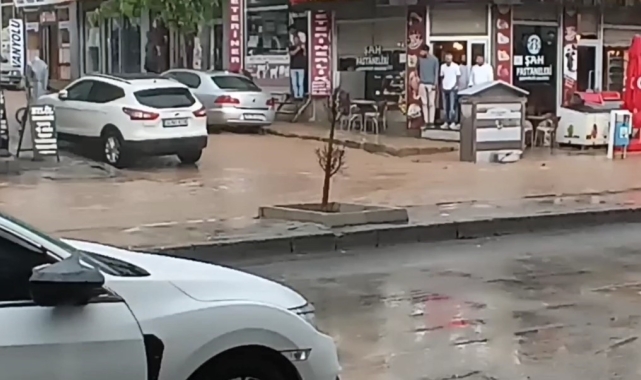 Özalp'ta şiddetli yağmur sele neden oldu