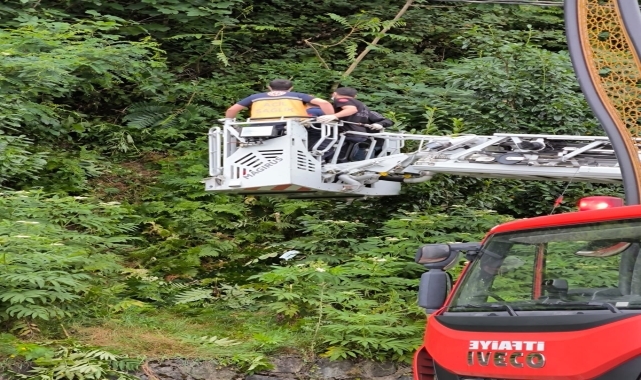 Rize'de 3 gündür kayıp olan yaşlı adam ormanda ölü bulundu