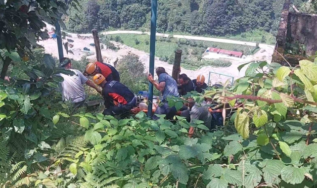 Rize'de çay toplayan vatandaş elektrik akımına kapılarak ağır yaralandı