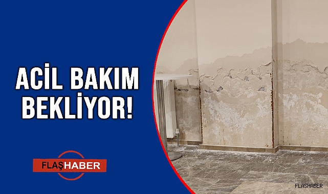 RUTUBETTEN DÖKÜLÜYOR!