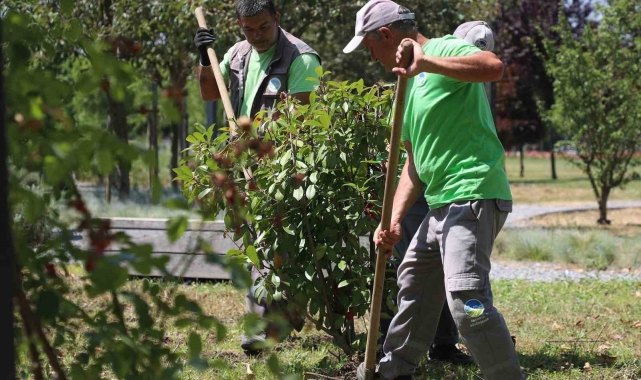 Sakarya Büyükşehir Belediyesi'nden şehre estetik dokunuş