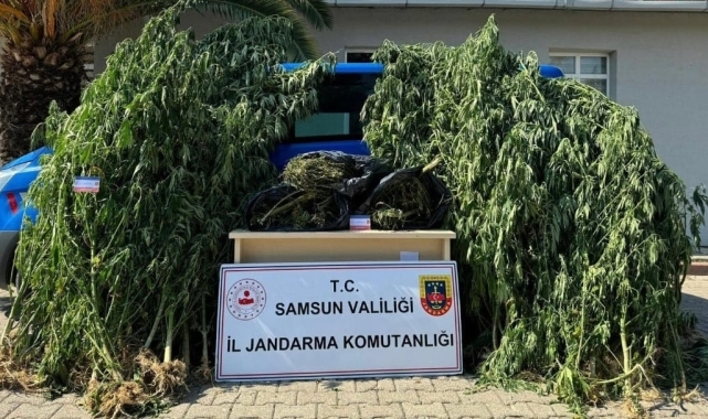 Samsun'da 6 kilo 300 gram esrar ele geçirildi