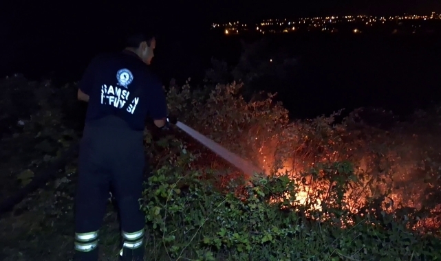Samsun'da otluk alanda çıkan yangın büyümeden söndürüldü