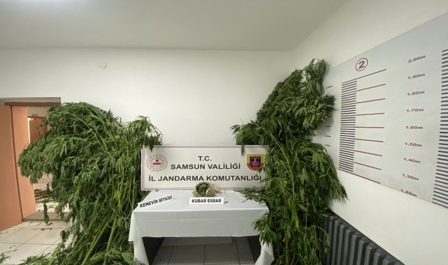 Samsun&#039;da uyuşturucu operasyonlarında 2 şüpheli yakalandı
