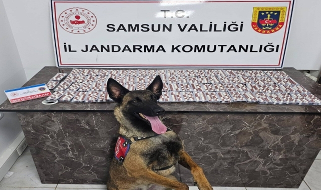 Samsun'da uyuşturucu operasyonunda 4 zanlı yakalandı