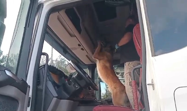 Samsun'da narkotik köpeği 'Sam' 900 gram metamfetamin yakaladı
