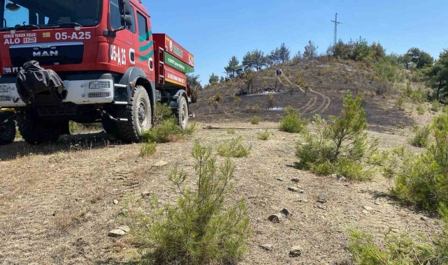 Samsun'da örtü yangını