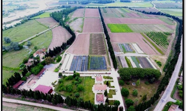 Samsun'da yılda 134 türde üretilen 10 milyon fidan Türkiye'yi yeşillendiriyor