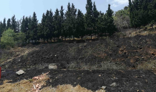 Sancaktepe'de ormanlık alanda yangın