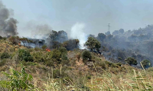 Şarköy'deki yangın kontrol altına alındı