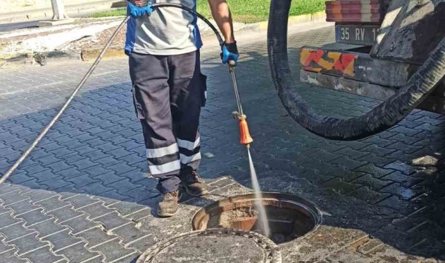 Selçuk'ta haşereyle mücadelede önlemler artırıldı