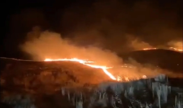 Siirt'te korkutan yangın
