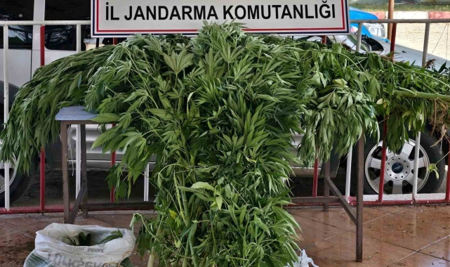 Siirt'te uyuşturucu operasyonu
