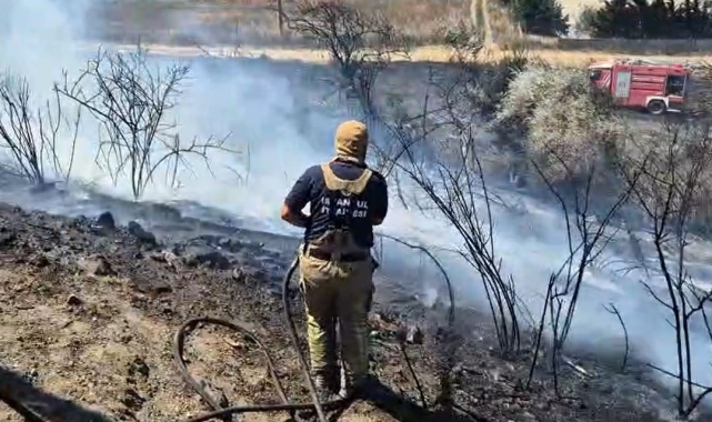 Silivri'de otluk alanda yangın çıktı, yangını söndürmeye çalışan itfaiyeciler arı kovanları için seferber oldu
