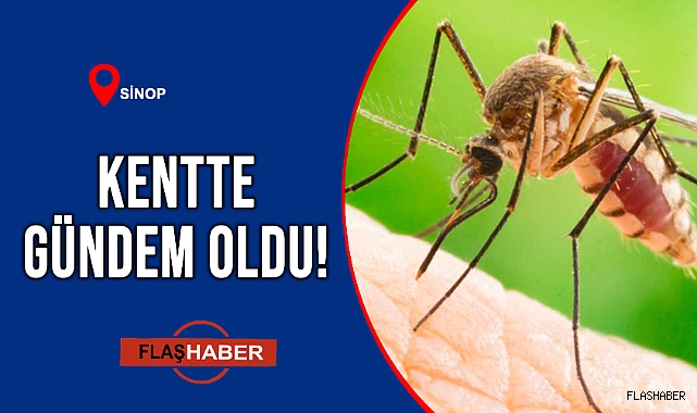 SİNEKTEN GEÇİLMİYOR!