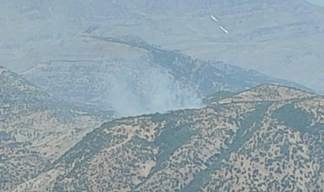Şırnak'ta orman yangını