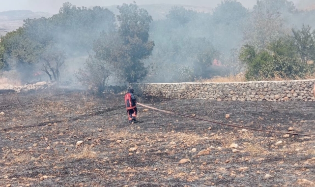Şırnak'ta örtü yangını