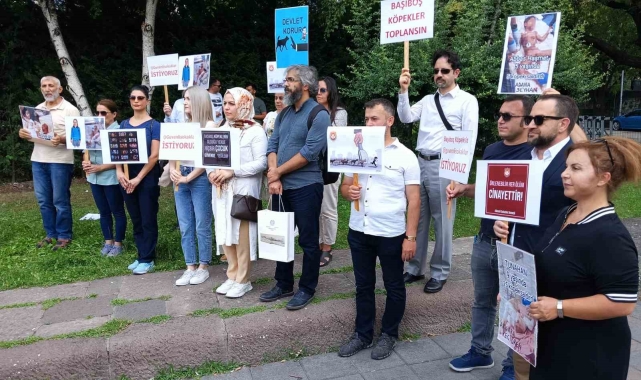 Sivil toplum kuruşlarından sahipsiz sokak hayvanları ile ilgili hazırlanan yasa tasarısına destek