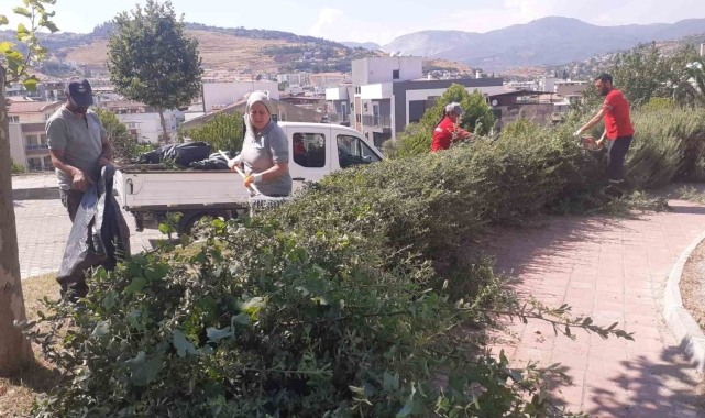 Söke Belediyesi'nden park ve bahçelerde yoğun çalışma