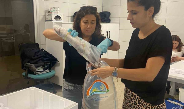 Söke İlçe Tarım ve Orman Müdürlüğü'nden balık ihracatına sıkı denetim