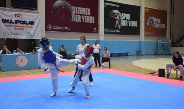 Taekwondo il seçmesi tamamlandı