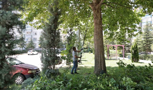 Talas'ta park ve bahçelere yaz bakımı