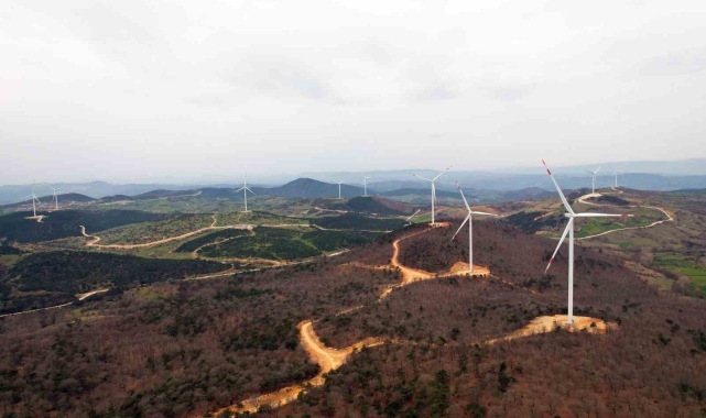 Tatlıpınar Enerji'nin 3 aylık kârı yüzde 75 arttı