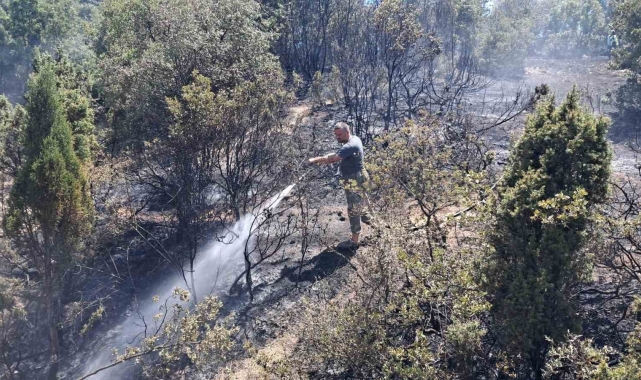 Tavşanlı&#039;da arazi yangını