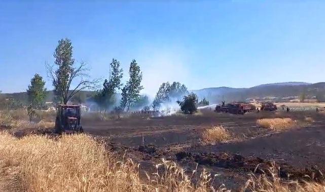 Tavşanlı'da buğday ekili alanda çıkan yangın kısa sürede söndürüldü