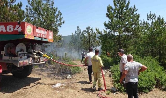 Tavşanlı'da orman yangını