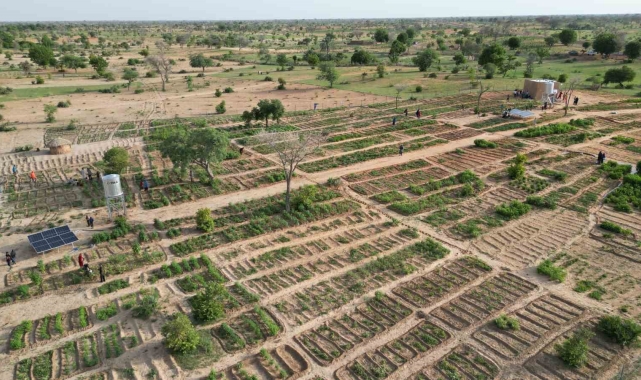 TİKA Nijer'de 100 kadın yararına sebze ve moringa üretim bahçesi kurdu