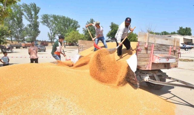 TMO, Yenişehir'den 3 bin 500 ton hububat aldı