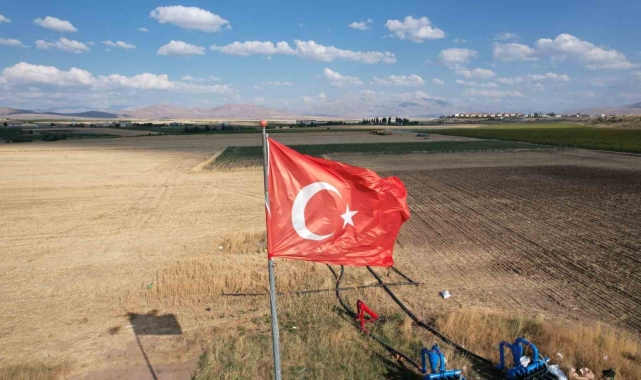 Tomarza'da ekmeklik buğday hasadı tüm hızıyla sürüyor