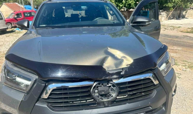 Tunceli'de ağaç, seyir halindeki aracın üzerine devrildi