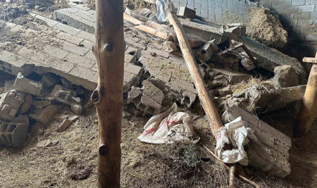 Tunceli'de dolu ve sağanak ekili alanlara zarar verdi