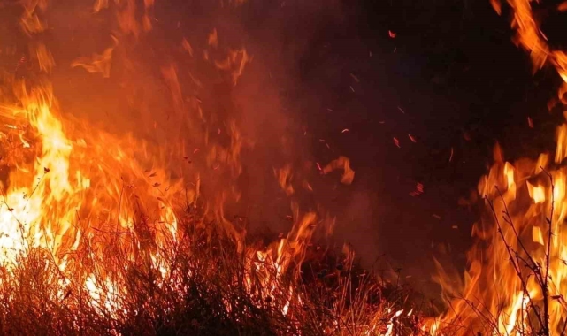 Tunceli'de otluk ve ağaçlık alanda yangın