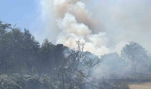 Turgutlu'da orman yangını evlere sıçradı