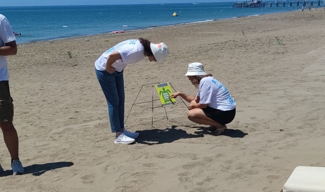 Turizm merkezi Kundu'da caretta caretta seferberliği