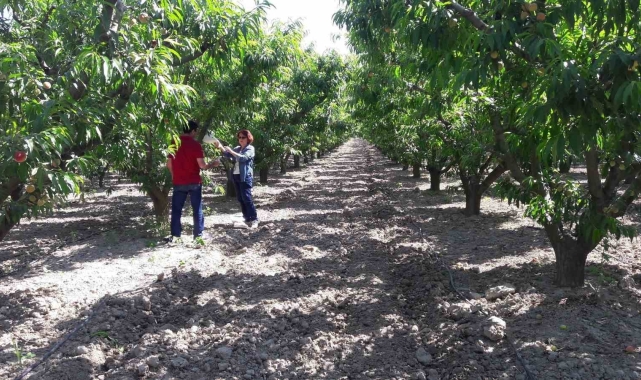 Üreticiler uyarıldı: "Siyah torbalarda imha edin"
