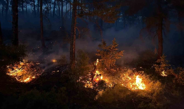 Uşak'ta ormanlık alanda çıkan yangına müdahale devam ediyor