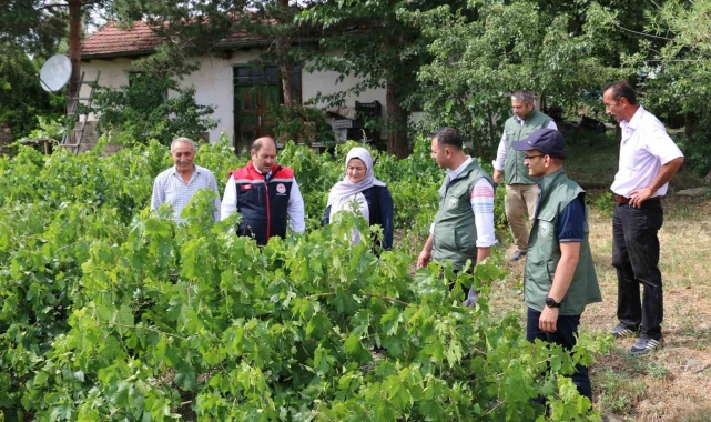 Üzümlü' de dolu zarar verdi