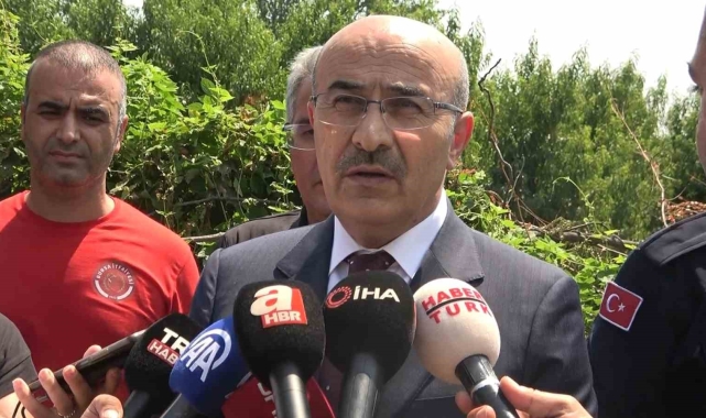 Vali Demirtaş yangın bölgesinde açıklamalarda bulundu